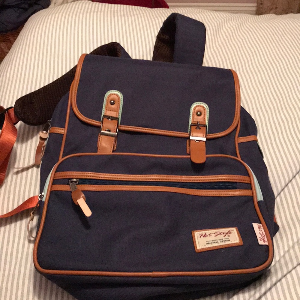 Super Cute Blue/Brown BackPack
